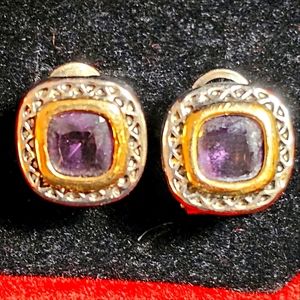 Elegant Silver and Gold Earrings with Purple Stone For Pierced Ears